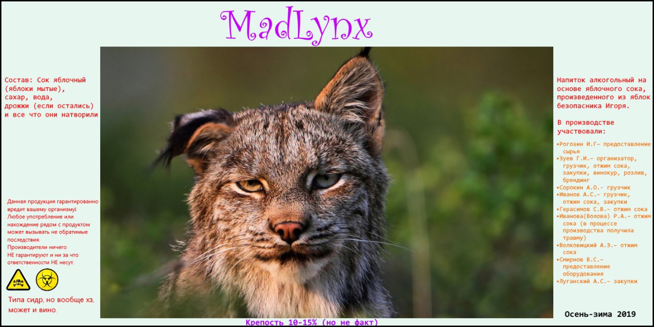 MadLynx 2019